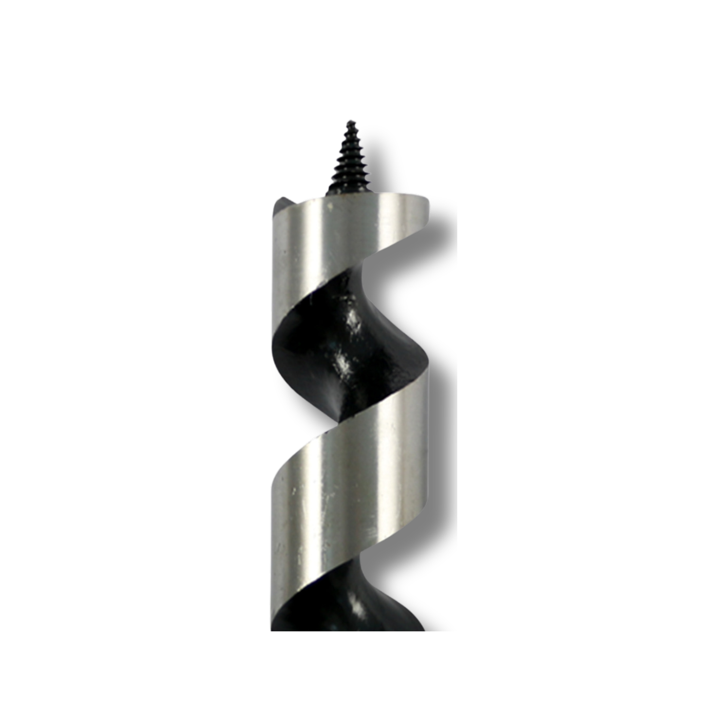 Close-up of Abracs auger wood drill bit lead screw and cutting edge for timber drilling