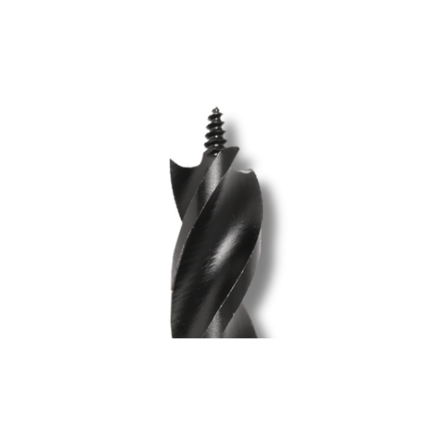 Close-up of self-feeding screw point on Abracs speed auger wood drill bit